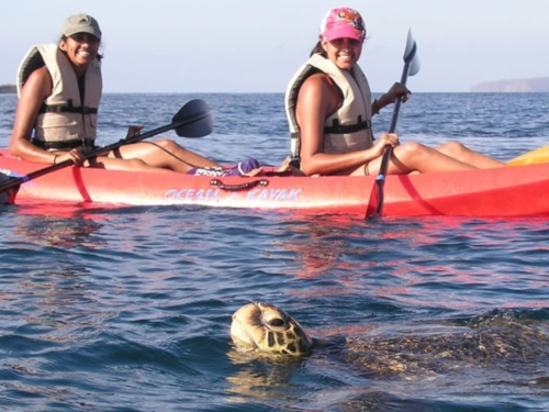 kayak alla ricerca delle tartatughe